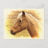 Golden Brown Horse in Sun Animal Briefkaart (Voorkant)