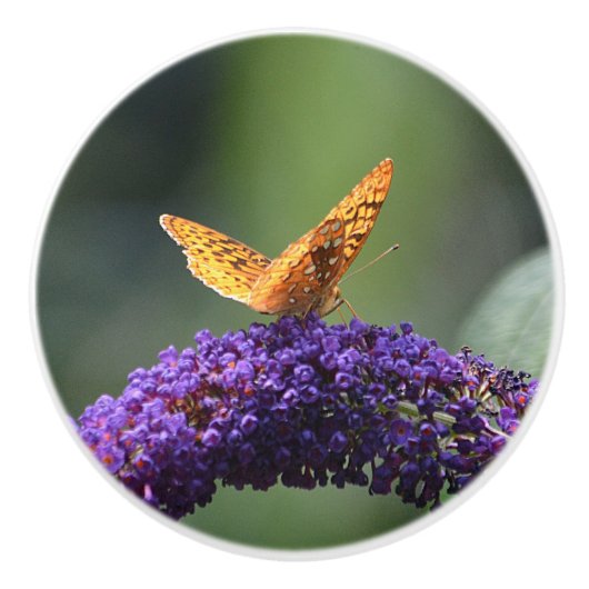 Golden Butterfly Ceramic Knob Keramische Knop (Voorkant)