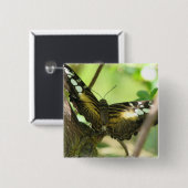 Golden Butterfly Square Pin Vierkante Button 5,1 Cm (Voorkant /achterkant)