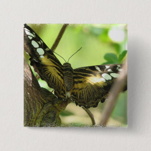 Golden Butterfly Square Pin Vierkante Button 5,1 Cm