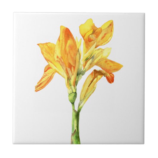 Golden Canna Flower Waterverf Painting Tegeltje (Voorkant)
