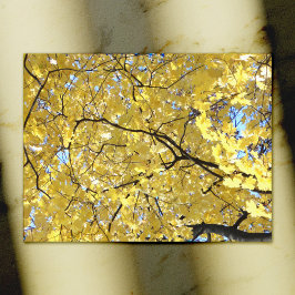 Golden Canopy Post Kaart