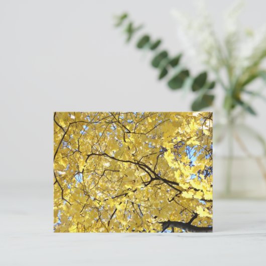 Golden Canopy Post Kaart (Staand voorkant)