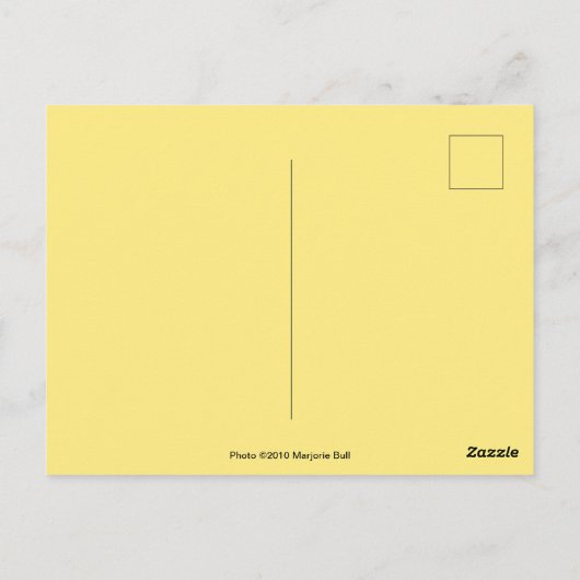 Golden Canopy Post Kaart (Achterkant)