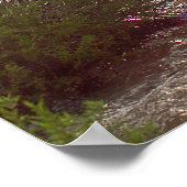 Golden Canyon Kayaks Poster (Hoek)