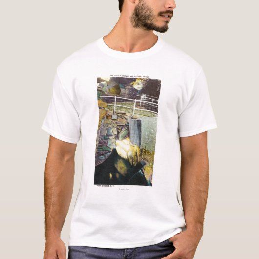 Golden Cascade en Natural Bridge Uitzicht T-shirt (Voorkant)