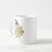 Golden Cascades: Dendrobium farmerii Orchidee Mok (Voorkant links)