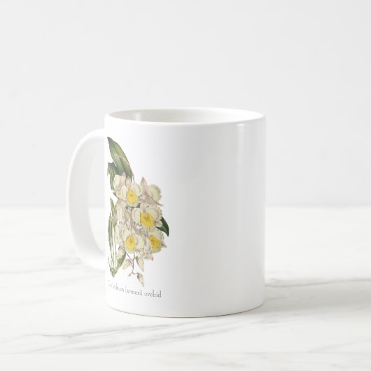 Golden Cascades: Dendrobium farmerii Orchidee Mok (Voorkant links)