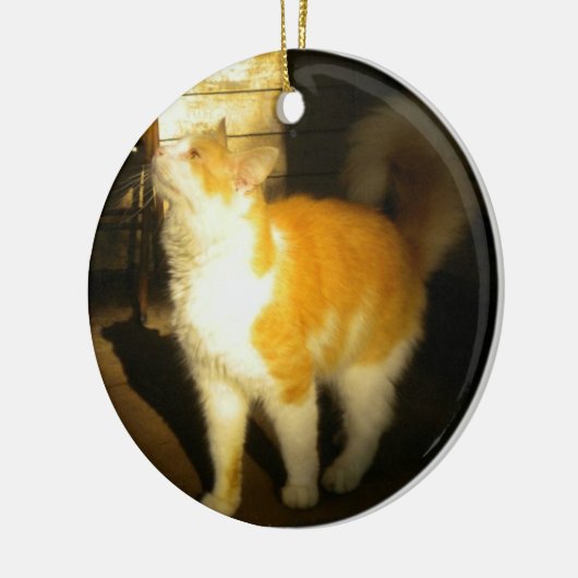 Golden Cat Keramisch Ornament (Links)