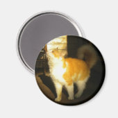 Golden Cat Magnet (Voorkant / Achterkant)