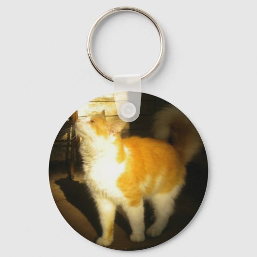 Golden Cat sleutelhanger (Voorkant)