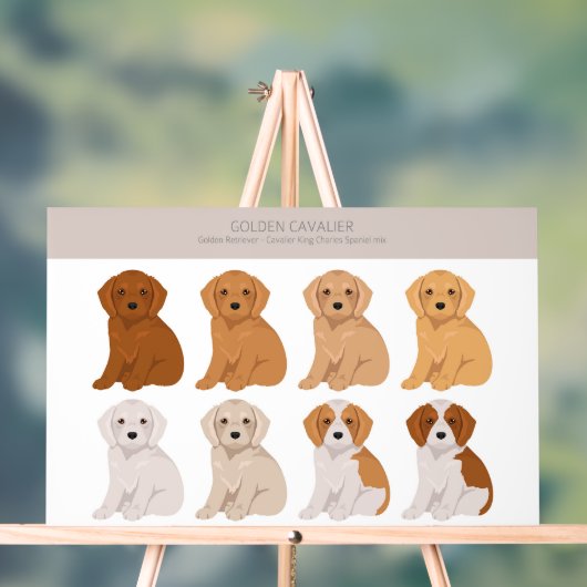 Golden Cavalier hondenmix Acryl Bord (Neutraal)