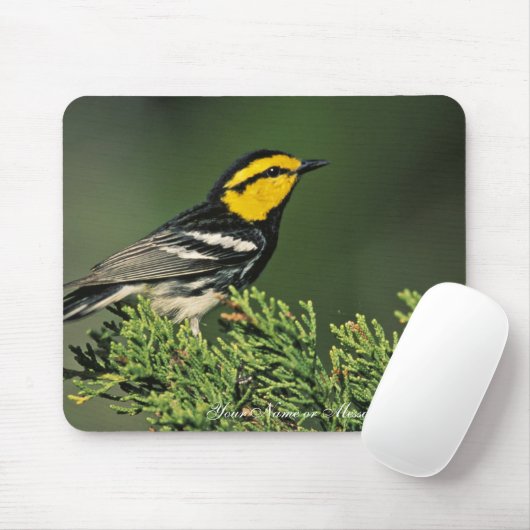 Golden-Cheeked Warbler Muismat (Met muis)