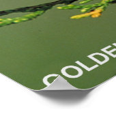 Golden-Cheeked Warbler Poster (Hoek)