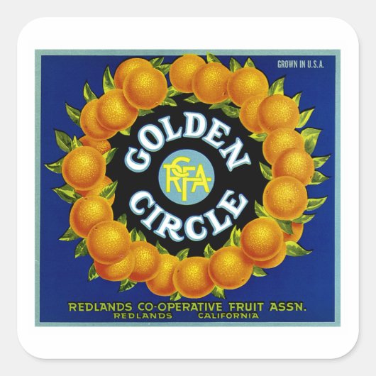 Golden Circle Sinaasappels Vierkante Sticker (Voorkant)