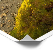 Golden Coastline in Bloom Poster (Hoek)