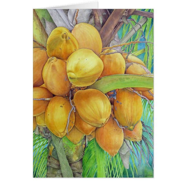 Golden Coconuts (Voorkant)