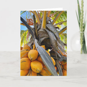 Golden Coconuts Bedankkaart