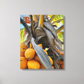 Golden Coconuts Canvas Afdruk (Voorkant)