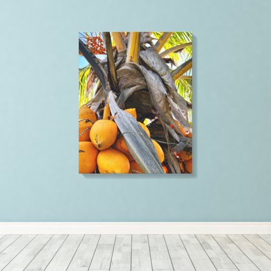 Golden Coconuts Canvas Afdruk (Insitu (Houten vloer))