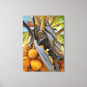 Golden Coconuts Canvas Afdruk