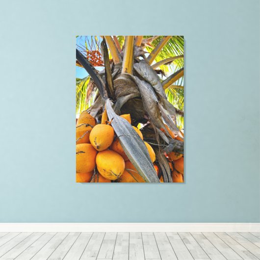 Golden Coconuts Canvas Afdruk (Insitu (Houten vloer))