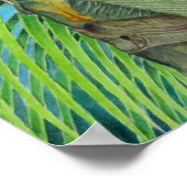 Golden Coconuts Poster (Hoek)