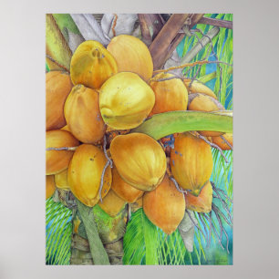 Golden Coconuts Poster