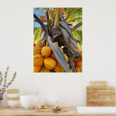 Golden Coconuts Poster (Keuken)