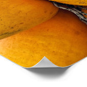 Golden Coconuts Poster (Hoek)