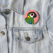Golden-collared Macaw Ronde Button 5,7 Cm (In situ)