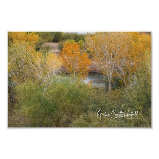 Golden Colorado Foto Afdruk (Voorkant)
