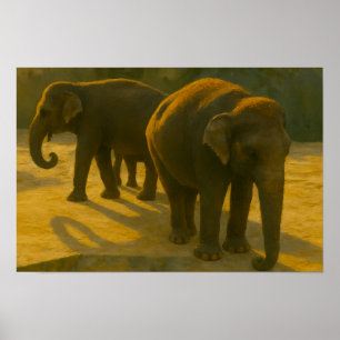 Golden Companions - Olifantentrio in warm licht Poster