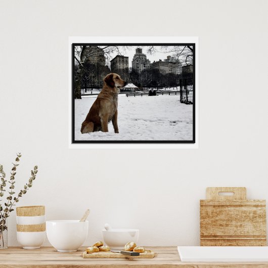 Golden-Conservatory-Central Park 3D Lijst Poster (Keuken)