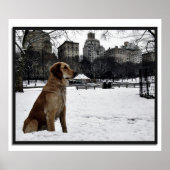 Golden-Conservatory-Central Park 3D Lijst Poster (Voorkant)
