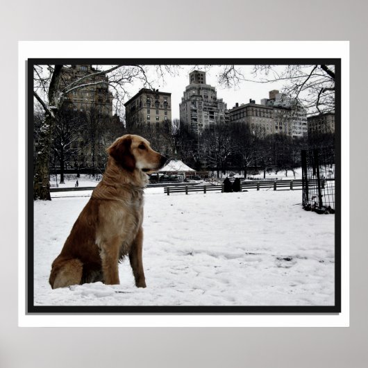 Golden-Conservatory-Central Park 3D Lijst Poster (Voorkant)