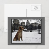 Golden-Conservatory Water-Central Park Briefkaart (Voorkant / Achterkant)