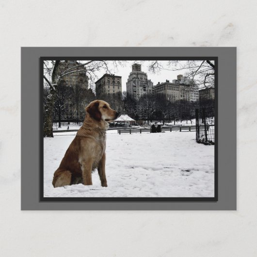 Golden-Conservatory Water-Central Park Briefkaart (Voorkant)