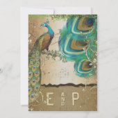 Golden Copper Champagne Gold Peacock Feathers Kaart (Achterkant)