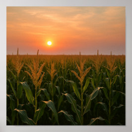 Golden Cornfield Sunset Achtergrond Poster
