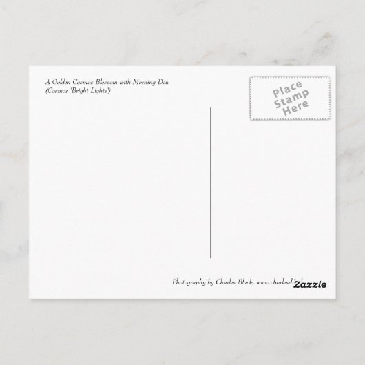 Golden Cosmos Briefkaart (Achterkant)