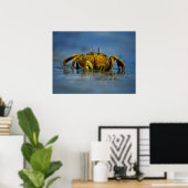 Golden Crab van Zee Print (Thuiskantoor)