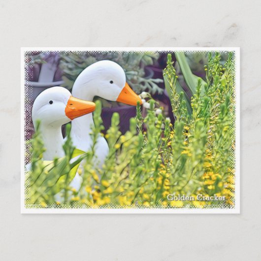 Golden Cracker Briefkaart (Voorkant)