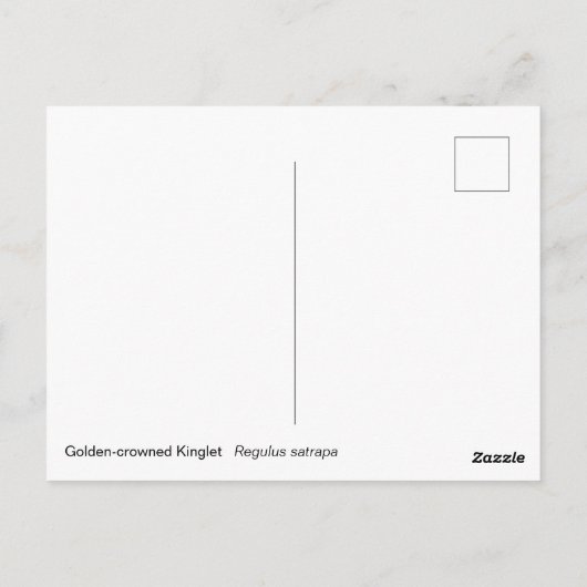 Golden crowed Kinglet Briefkaart (Achterkant)