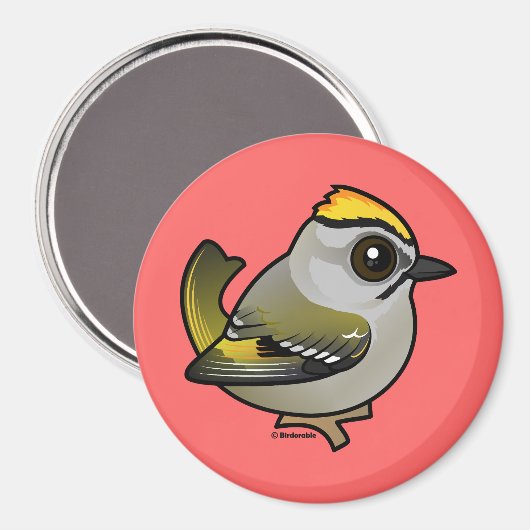 Golden crowed Kinglet Magneet (Voorkant / Achterkant)