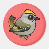 Golden crowed Kinglet Magneet (Voorkant)