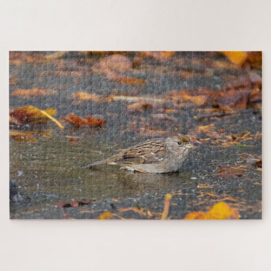 Golden crowed Sparrow Legpuzzel (Horizontaal)