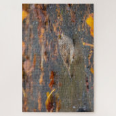 Golden crowed Sparrow Legpuzzel (Verticaal)