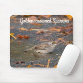 Golden crowed Sparrow Muismat (Met muis)