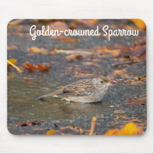 Golden crowed Sparrow Muismat